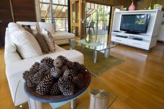 The Pines - 6