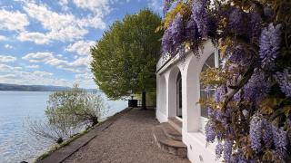 Stunning Lake Zurich Waterfront Villa - 4