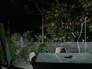 Riverbird House - 2