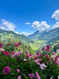 Haus Heimat - Alpenrose -  - 0