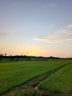 Homestay Sofea - 1