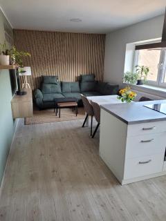 Apartment u Ježků 2 - 0