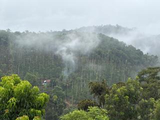Coorg royal stay home stay - 8