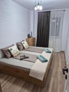 Alina Apartament - 2