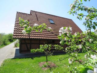 Ferienhaus Hanse im Feriendorf Altes Land - 0
