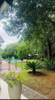 Dynamic Eagle Garden Studio in Fourways - 5