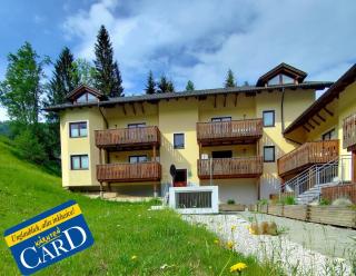 Appartements Wald Residence - Kärnten Card im Sommer inklusive - 8
