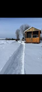 Fox Den Retreat glamping - 2