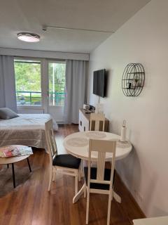 Ikaalisten kylpylä-hotelli 238 - 3