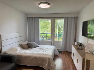 Ikaalisten kylpylä-hotelli 238 - 1