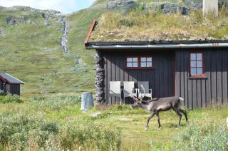 Tyinholmen hytter - 0