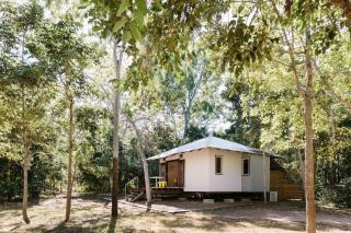 The Little Bush Hut - 8