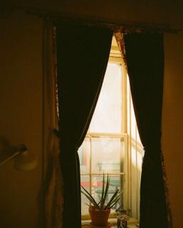 Historic Adobe in Downtown Tucson Writer's Room-Shared bath - 5