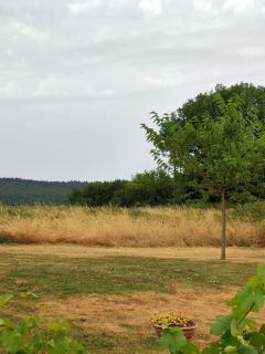 Les Pierres Levées - 2
