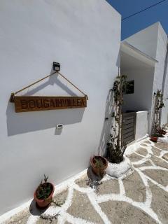 Bougainvillea - Asklipiḯon - 4