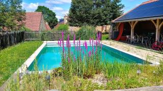 La baignade aux iris - 7