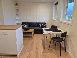 Studio apartment by fjords and mountains - 0