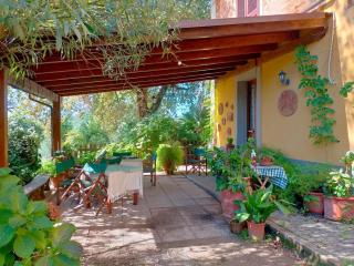 Agriturismo il Poggetto - 8