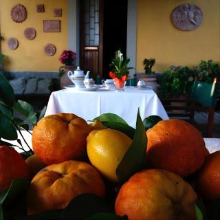 Agriturismo il Poggetto - 3