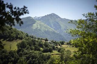 Camping l'Ideal - 7