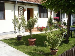 Rózsa Apartman - Gyula - 8