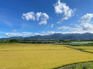 漫調子 Roaming Life - 8