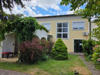 Landgasthof zur Goldenen Traube - 6