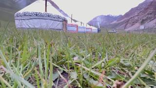 Apish yurt camp - 1