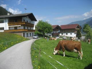 Bahlerhof - Luxner Annelies - 1