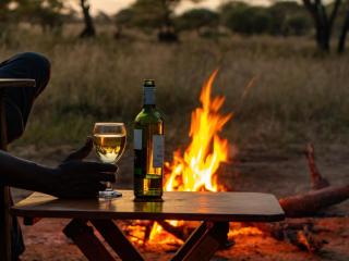 Honeyguide Explorer Camp - 9