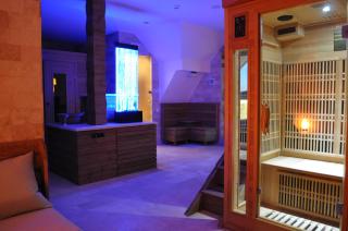 Transylvania Villa & Spa - Muntele Băişorii - 4