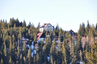 Transylvania Villa & Spa - Muntele Băişorii - 9