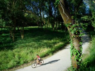 Camping Bungalow el Llac de Banyoles - 4