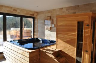 Transylvania Villa & Spa - Muntele Băişorii - 7