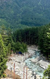 Shanti Cafe - Signature Stays Manali - 4