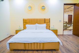 Luxotica Greens - 6 BHK Luxury Villa in Chattarpur - 2