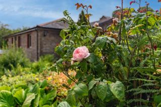 The Farmhouse - Old Mill Cottages - 8