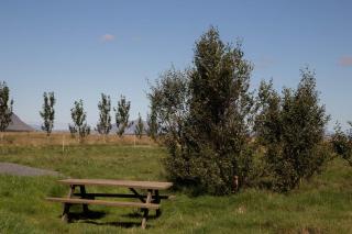 Myri - Studio Lodge - Selfoss - 7