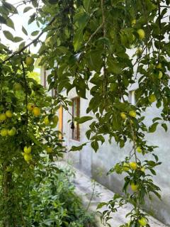 Guest house-Lile - 1