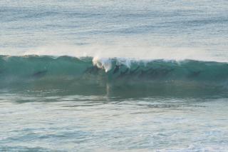 The Laughing Mermaid - 3