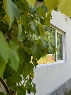 Guest house-Lile - 7