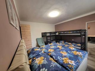 Apartment in Louňovice pod Blanikem - 3