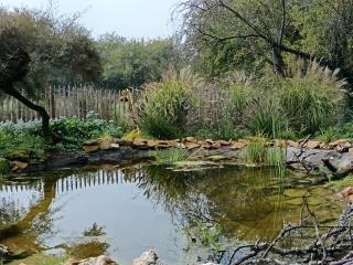 Le CLOS SUZANNE - 7