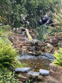 Caesars Spa Retreat with Heated Swim Spa & Waterfall Gardens - 5