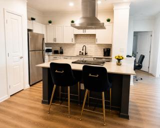Beautiful Luxury 2BR , 2bath , 2 king size beds Near Universal Kids Resort in FISCO - 0