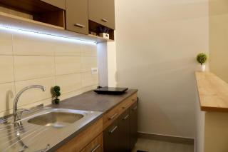 Apartment Javor - 9