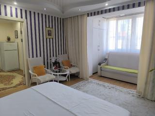 Apartment Ana center Ismail - 2