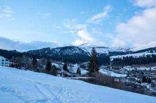 Modern Alpine Retreat Garden and Panoramic Views - Flims - 5