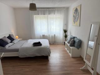 Apartment Baden-Baden 3 Bedrooms Queensize - 2