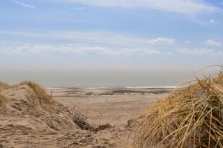 Sommerhus Nær Klitter Og Vesterhavet Sj31 - 1